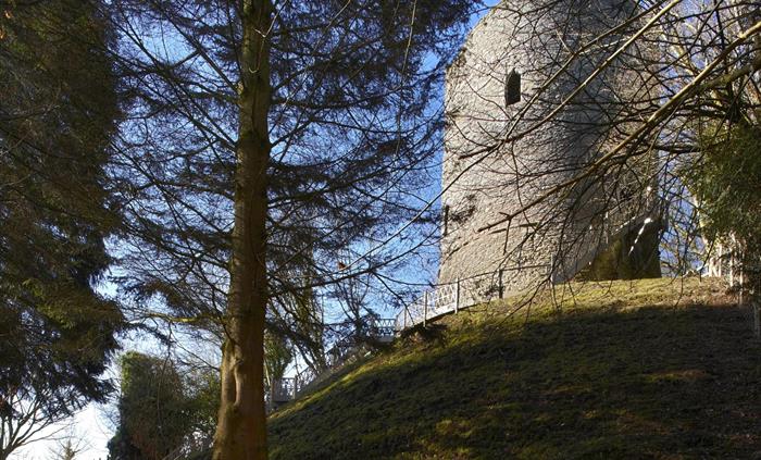 Bronllys Castle